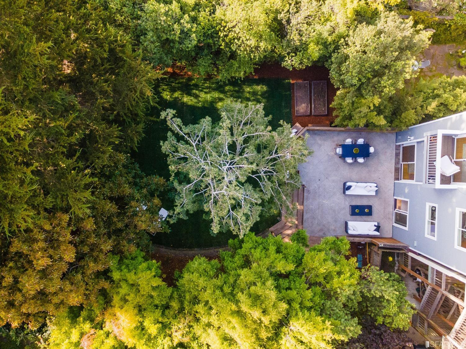 overhead shot of backyard